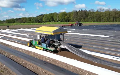 Robotul care a înlocuit românii în fermele GERMANIEI: VIDEO Șocant!