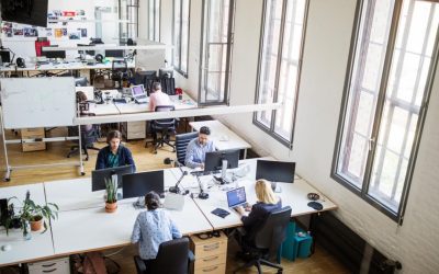 Liberalii propun o nouă zi liberă legală pentru români