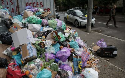 Consiliul Local Sector 1, pe urmele primarului: Curățenie și deszăpezire cu firmă proprie