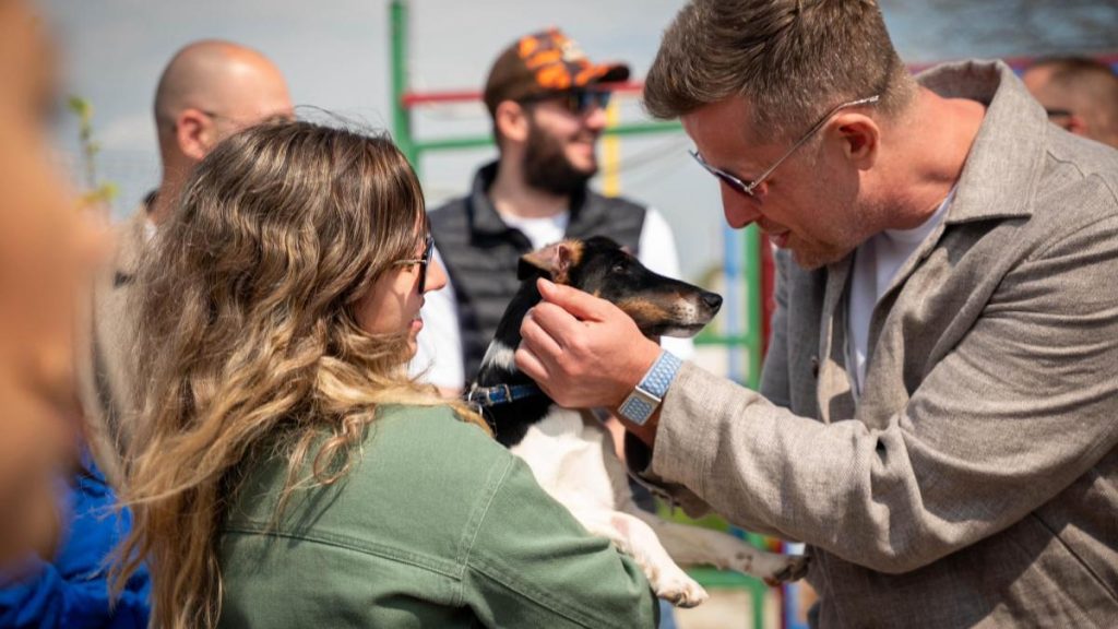 Adopții canin: Ilfov are primul centru județean. „O familie, nu un adăpost”