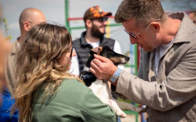 Adopții canin: Ilfov are primul centru județean. „O familie, nu un adăpost”