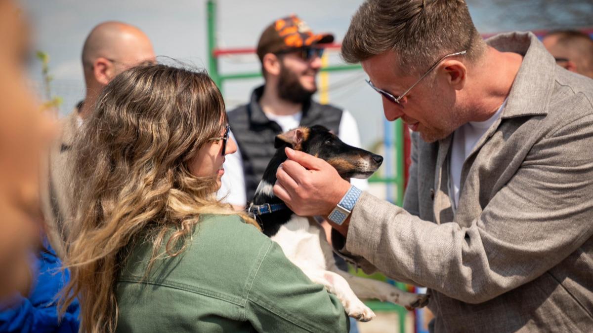 Adopții canin: Ilfov are primul centru județean. „O familie, nu un adăpost”