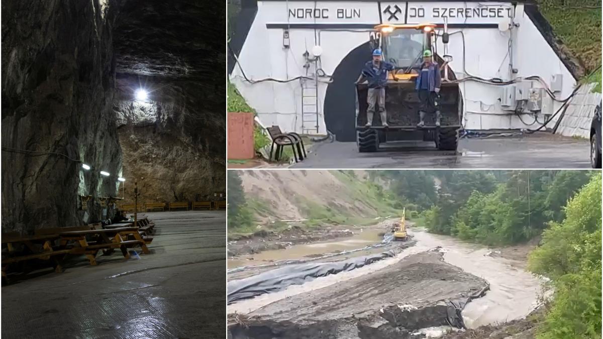 Salrom, acuzată de Darău: Angajații dau vina pe castori pentru Praid. Reacția companiei