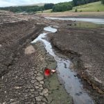 Căldură extremă: Planeta, în pericol. Umanitatea, în fața unui nou val