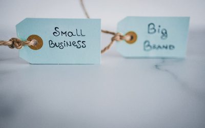 Micii „David” din România înfruntă Goliații multinaționali