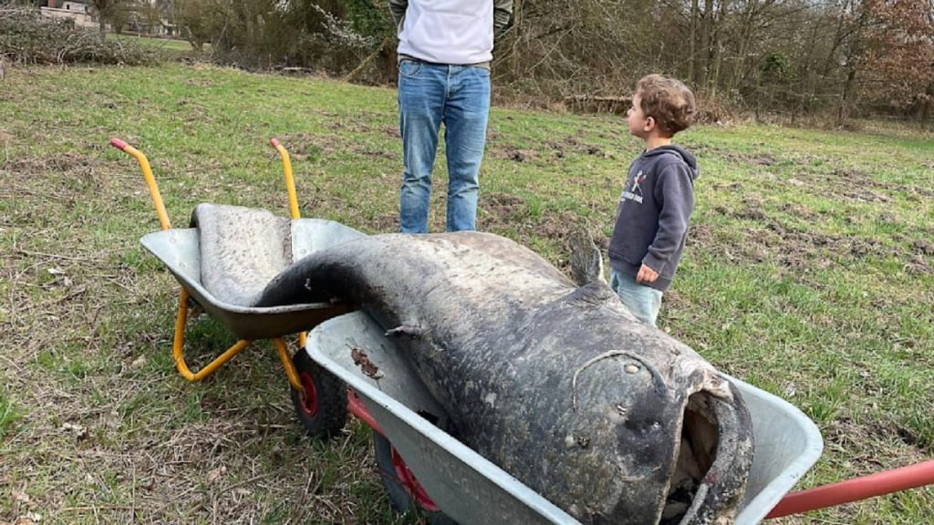 Somnul uriaș a confirmat legenda: Germania, martora unei descoperiri