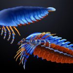 specie-de-paianjen-preistoric_Masato-Hattori_Harvard-University_eurekalert_Descopera.jpg - JurnalUrban