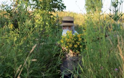 Câlția își expune marile teme la Sibiu: Noua expoziție promite!