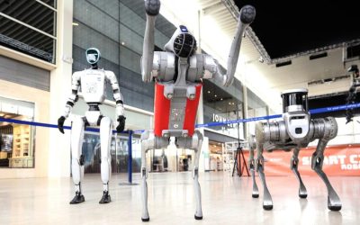 Robotul Destiny NU-ȚI ia locul! În ce joburi e rivalul uman?