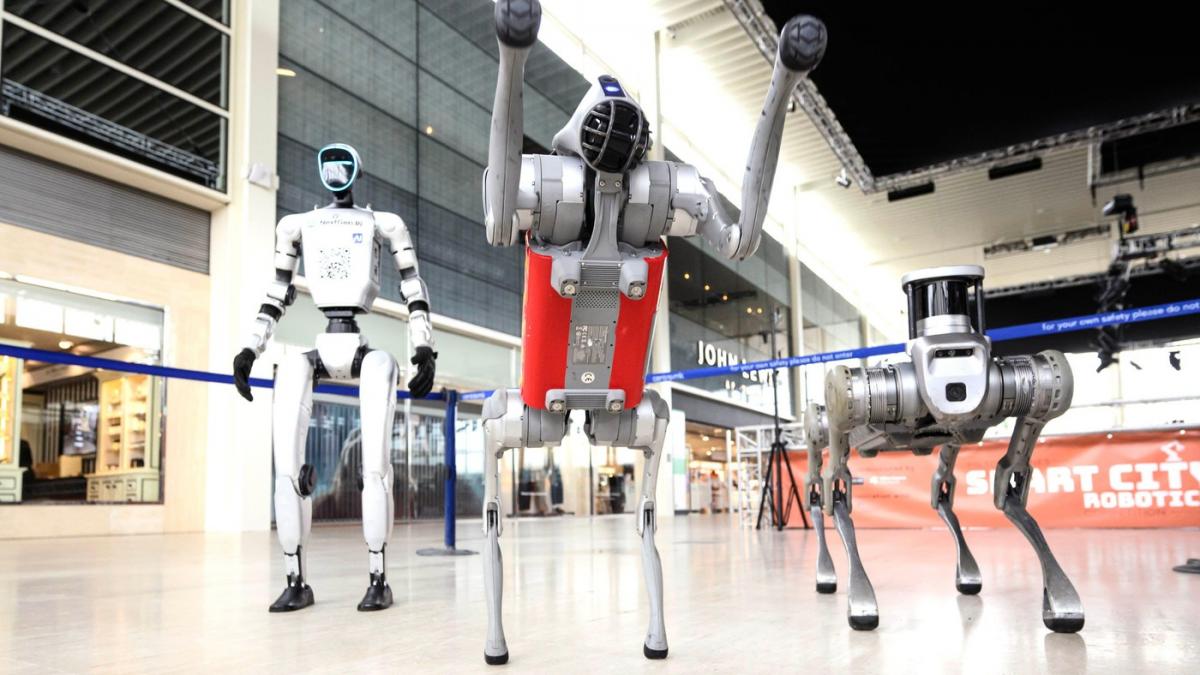 Robotul Destiny NU-ȚI ia locul! În ce joburi e rivalul uman?