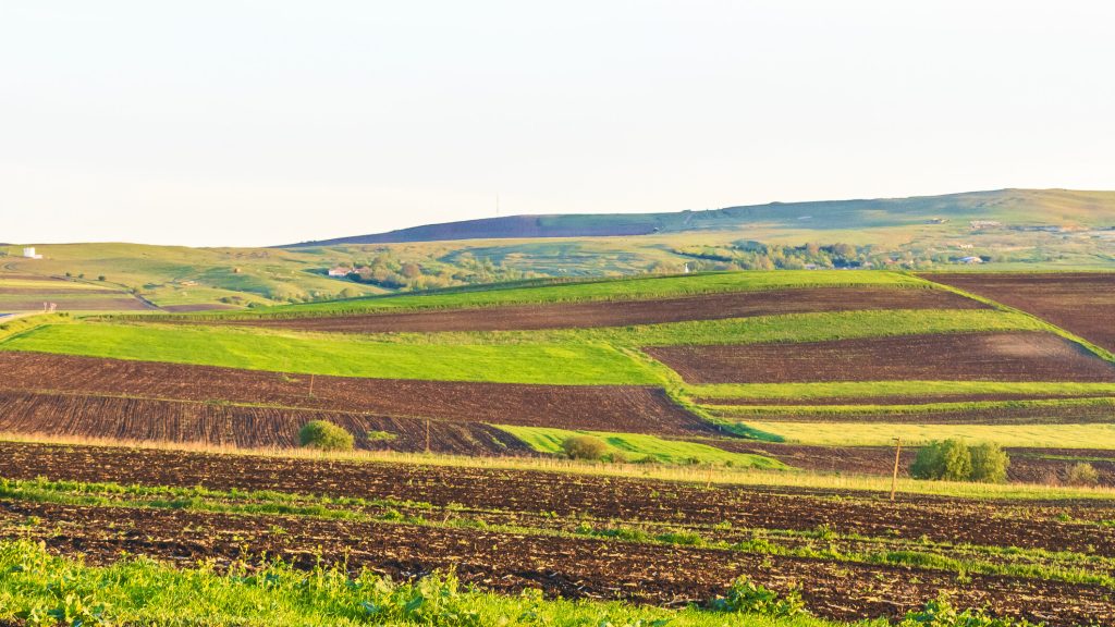 Arendă 2026: Ce drepturi și obligații au fermierii și proprietarii de terenuri