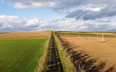 Ocupare ABuzivă de teren: Riscă Procese și Amenzi! Ce spune legea, cum îți recuperezi proprietatea