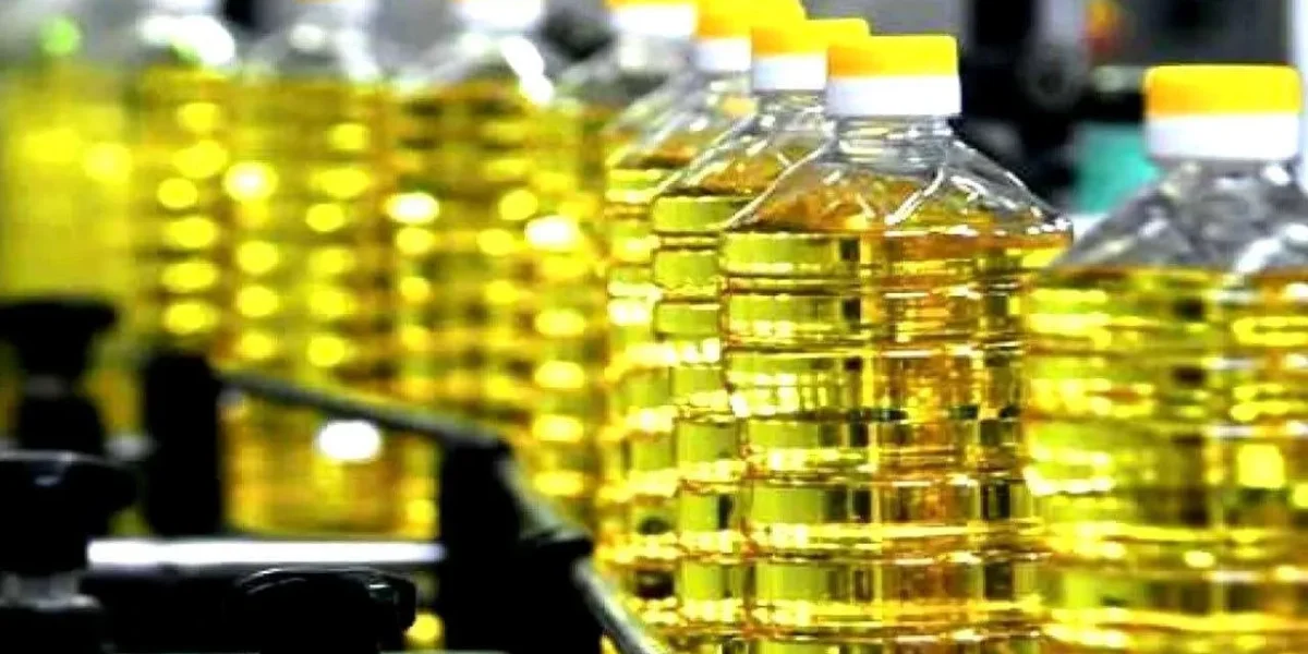 Argentina a devenit un furnizor important de semințe de floarea-soarelui pentru Uniunea Europeană, inclusiv pentru România și Bulgaria, datorită producțiilor record și a unei recolte care are loc în afara sezonului european