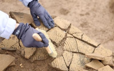 Sanctuar roman îngropat sub Frankfurt dezvăluie ritualuri șocante