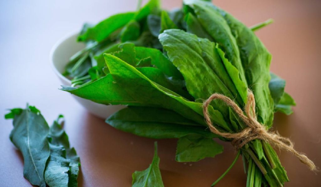 Verdețurile scad tensiunea: Un studiu face lumină, o veste bună pentru sănătate