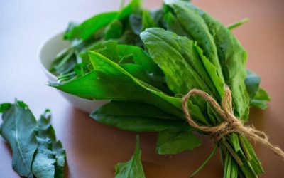 Verdețurile scad tensiunea: Un studiu face lumină, o veste bună pentru sănătate