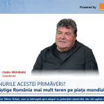 Vinarium Ploiești: 1.600 de vinuri la concurs. Ce țări participă?