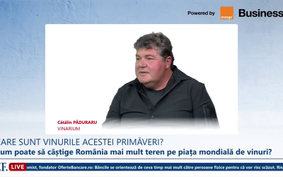 Ce vinuri românești alegem de sărbători? Cătălin Păduraru recomandă Feteasca Neagră din România