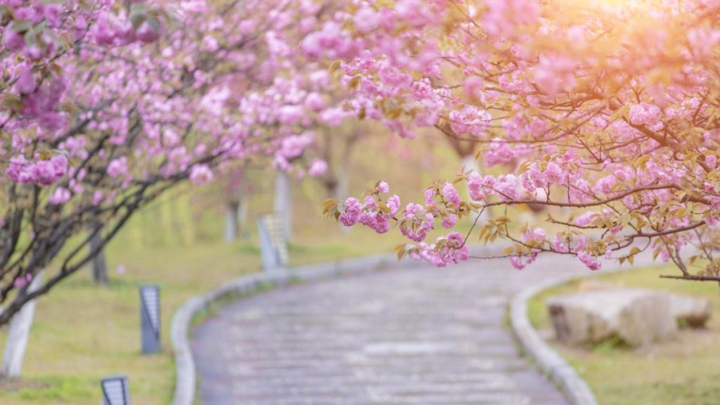 Ger de -5 grade de Înviere în România: ANM anunță vremea de Paște