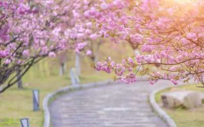 Ger de -5 grade de Înviere în România: ANM anunță vremea de Paște