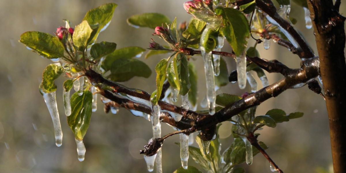 vreme-de-iarna-inainte-de-paste-sefa-anm-anunta-unde-va-ploua-si-unde-va-ninge-sambata-si-duminica-1.webp - JurnalUrban