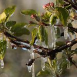 vreme-de-iarna-inainte-de-paste-sefa-anm-anunta-unde-va-ploua-si-unde-va-ninge-sambata-si-duminica-1.webp - JurnalUrban