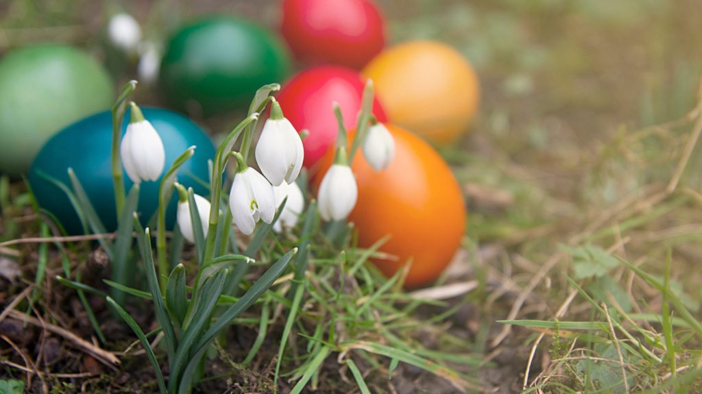 Vânt puternic: Rafale de 90 km/h lovesc România, meteorologii avertizează