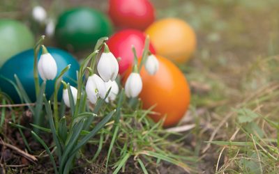 Vânt puternic: Rafale de 90 km/h lovesc România, meteorologii avertizează