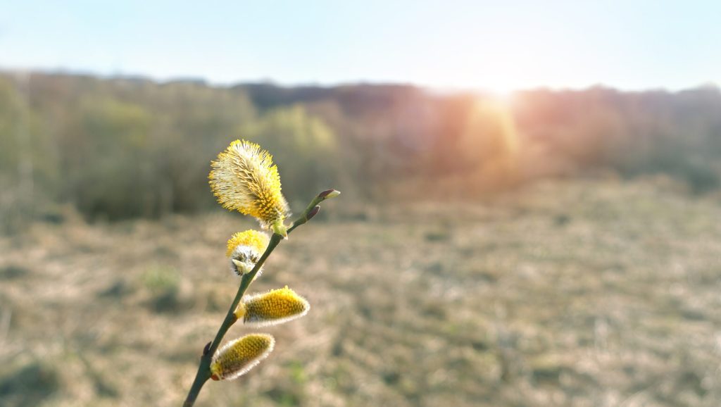 Vremea se schimbă radical: temperaturi de -7 grade Celsius în următoarele două săptămâni Românii se pot aștepta la o răcire accentuată a vremii în următoarele două săptămâni, conform prognozelor meteorologice