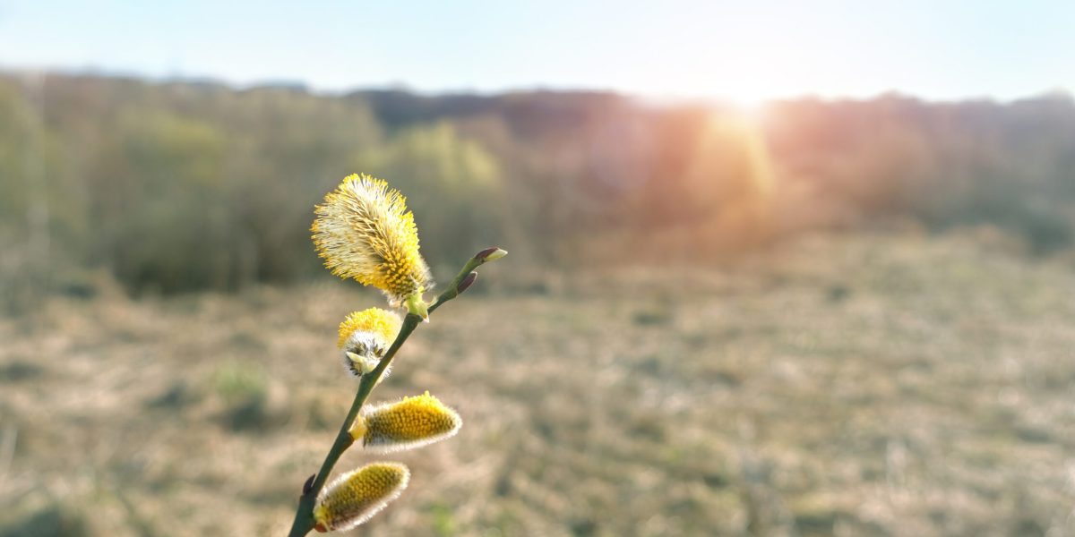 Vremea de paște: România, sub asediu. Prognoza meteo, cu schimbări radicale