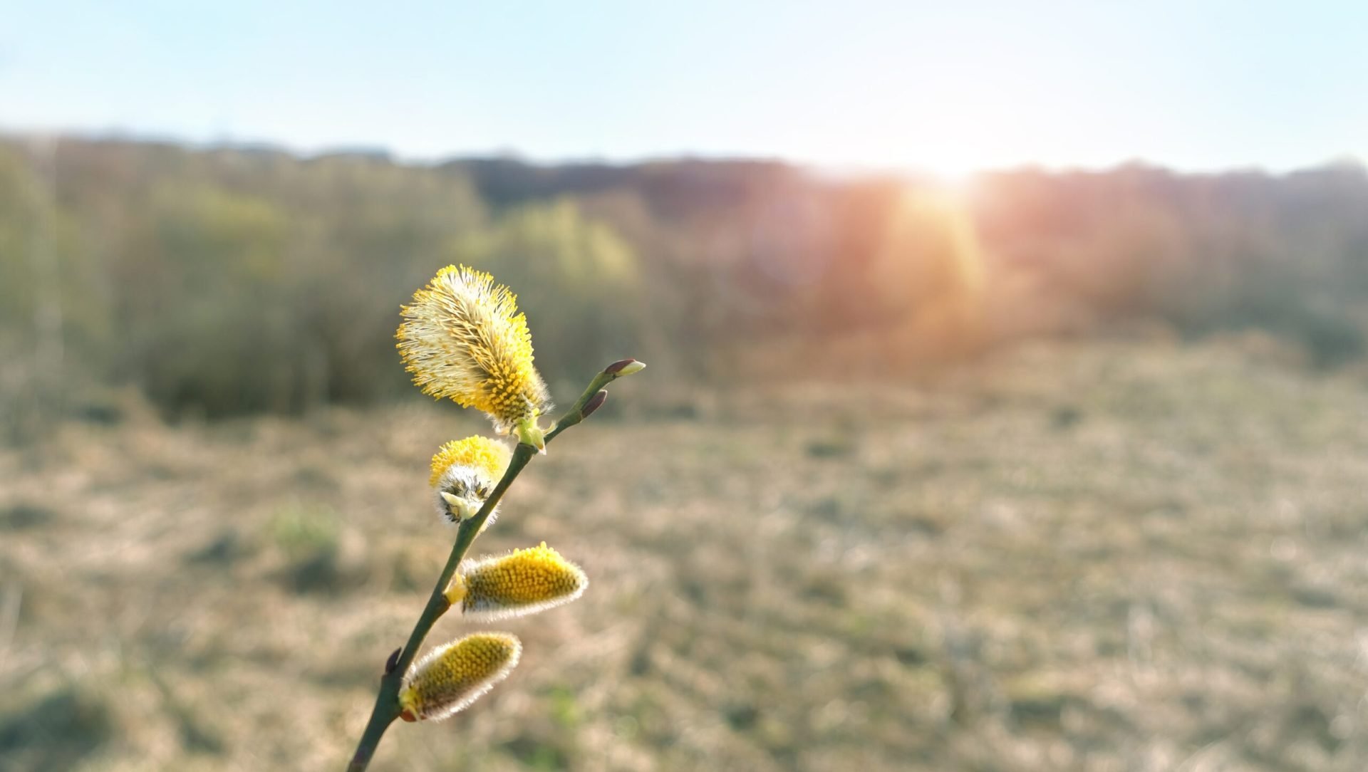 Vremea se schimbă radical: temperaturi de -7 grade Celsius în următoarele două săptămâni Românii se pot aștepta la o răcire accentuată a vremii în următoarele două săptămâni, conform prognozelor meteorologice