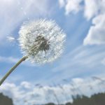 Vremea se încălzește în România: ANM anunță ce ne așteaptă patru săptămâni