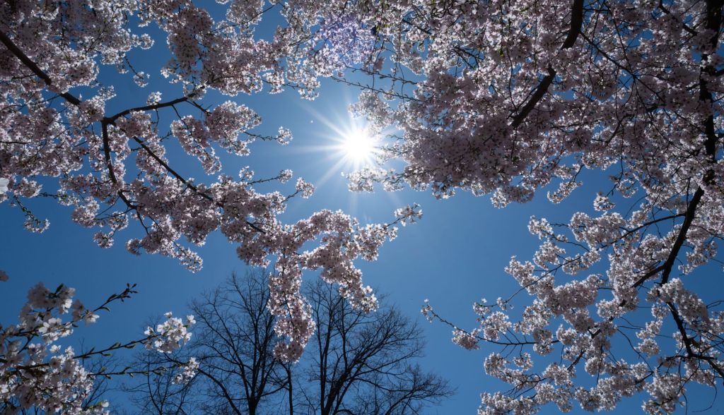 Vreme de 1 Mai: Cum va fi prognoza METEO în România și Europa