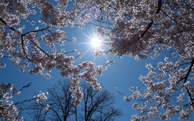 Vreme de 1 Mai: Cum va fi prognoza METEO în România și Europa