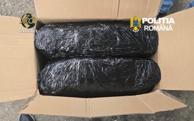 Captură record la Târgu Mureș: 13 kg de canabis aduse din Spania