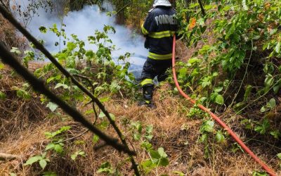 Incendiu devastator în Caraș-Severin: Un nou focar mistuie pădurea