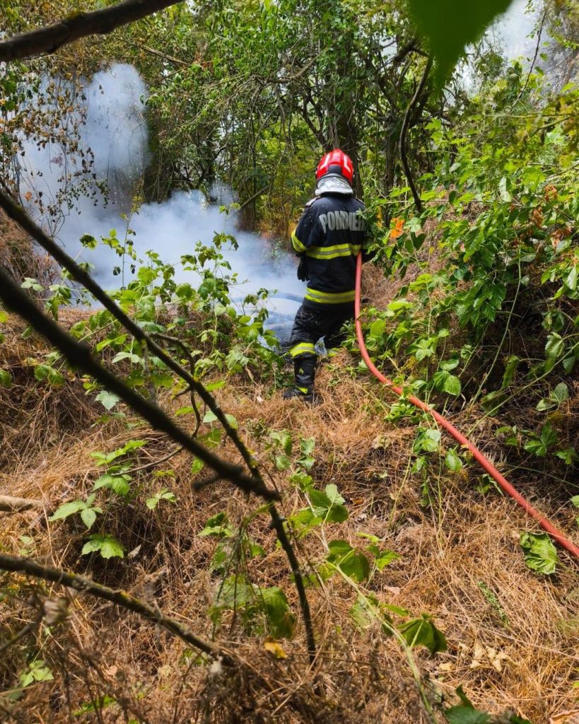 Incendiu devastator în Caraș-Severin: Un nou focar mistuie pădurea