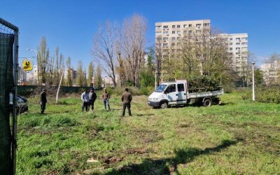 Codrii Neamțului: Parc distrus pentru mall? Hotărârea, pusă iar pe ordinea de zi