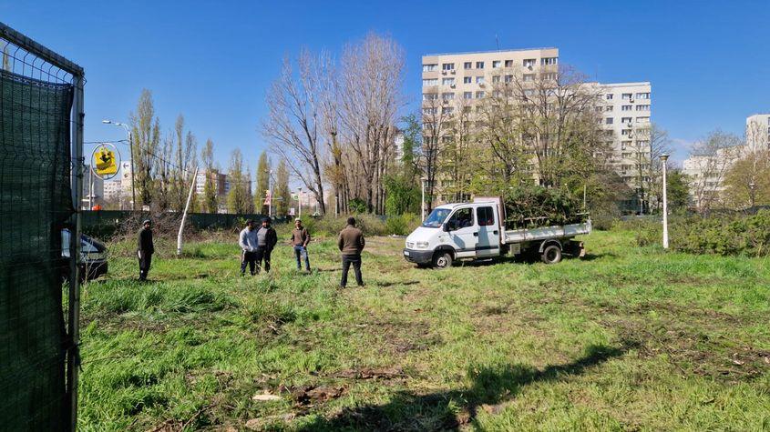 Codrii Neamțului: Parc distrus pentru mall? Hotărârea, pusă iar pe ordinea de zi