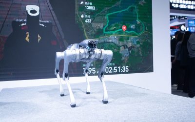 Robocâinele spion din China: Omul cumpărat, raportat autorităților