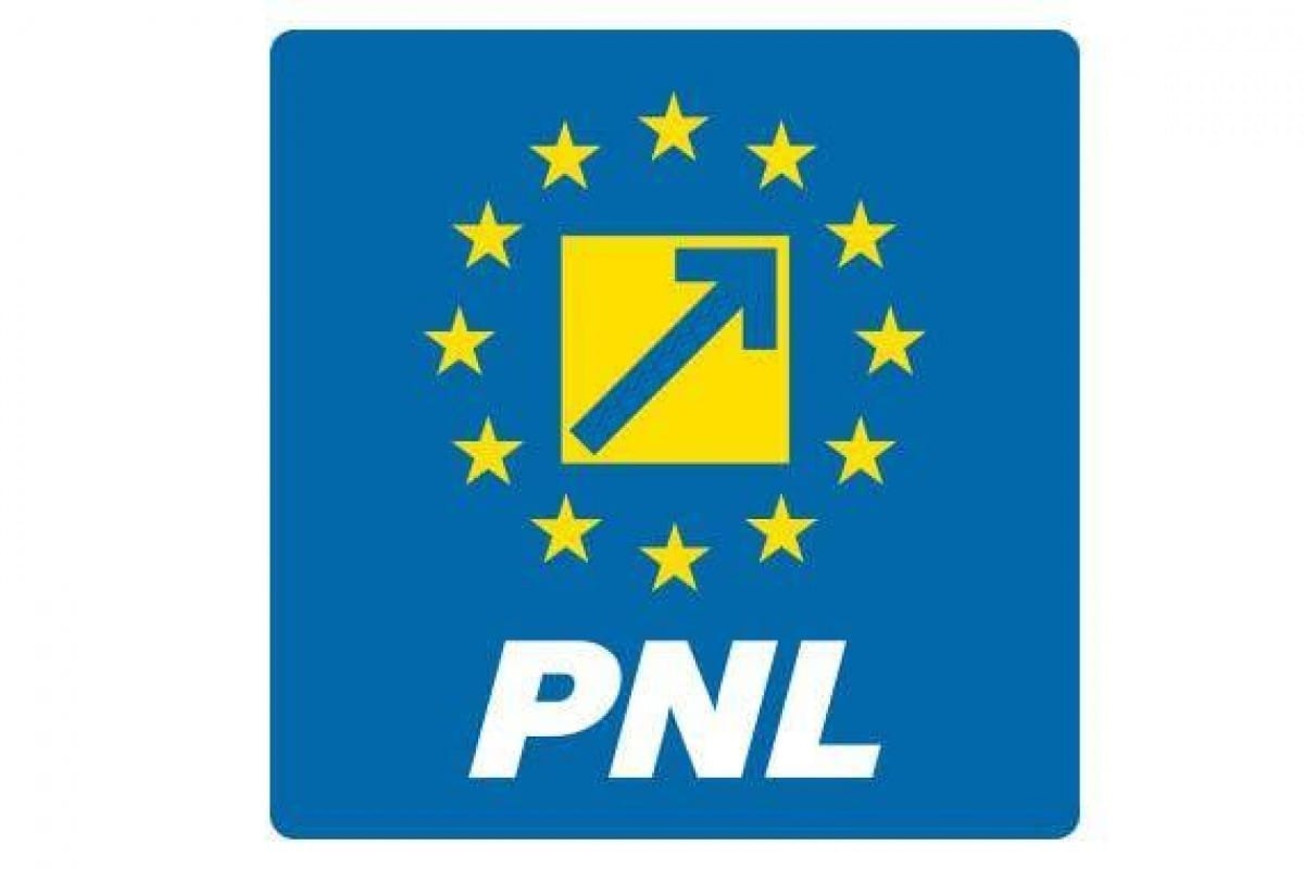 PNL: Contestatarii dau în judecată pentru mandatul anti-Guvern