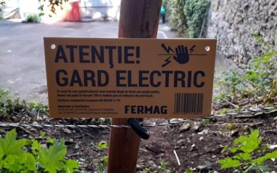 Urșii testează gardul electric la Râșnov: Pătrund prin breșe