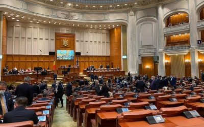 Stoiciu: Vrei să dobori guvernul? Construiește-l pe-al tău!