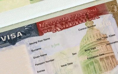 Oana Ţoiu: Visa Waiver, provocări politice și Trump pentru România