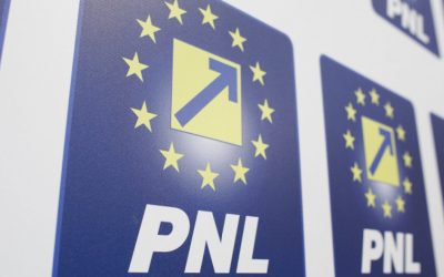 PNL, congres nou în august? Fenechiu vrea și mai repede