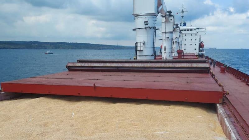Ucraina, blocată la Marea Neagră: Apel la ONU pentru cereale