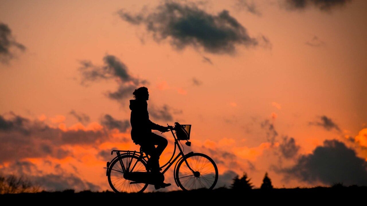 Simeria-Arad: Traseu controlat cu telefonul și bicicleta
