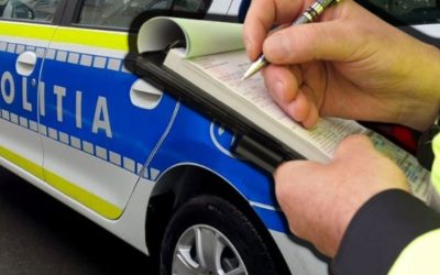 Câine periculos în Caraș-Severin: Amendă uriașă și șoc pentru polițiști