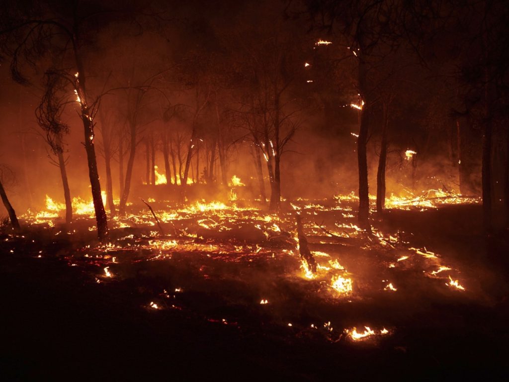 Incendii în Spania: Străini printre victimele mortale, inclusiv britanici în flăcări