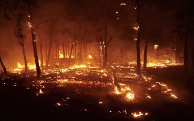 Incendii în Spania: Străini printre victimele mortale, inclusiv britanici în flăcări